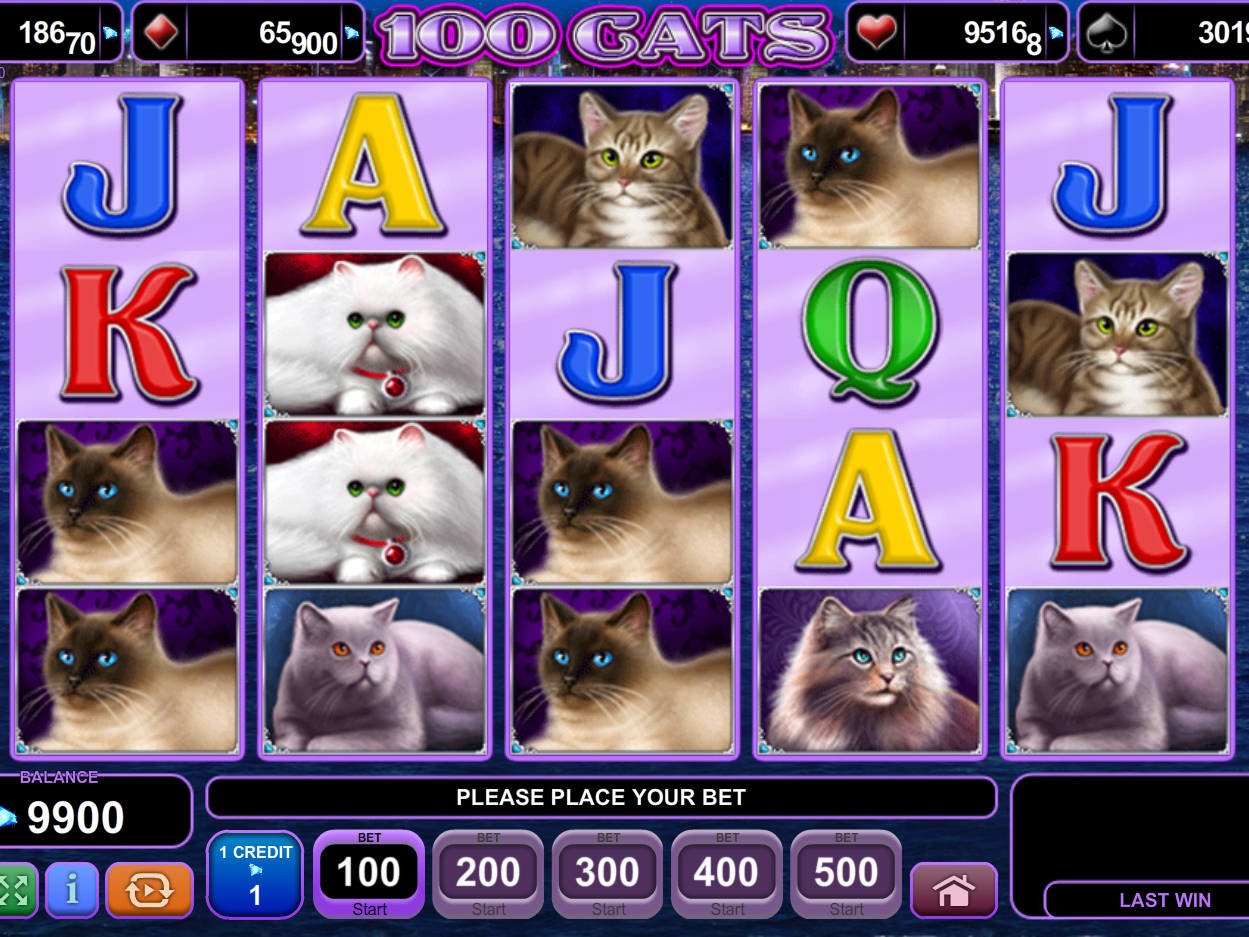 Tragamonedas gratis con juego cats casino 100% Legales - 12574